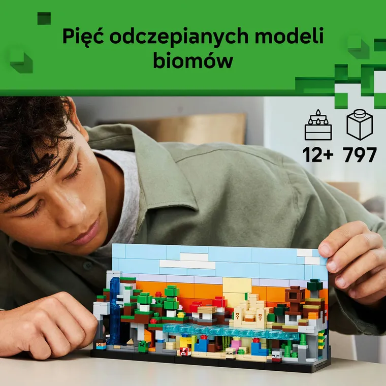 LEGO Minecraft, Minibiomy, 21589