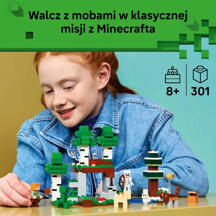 LEGO Minecraft, Przetrwanie pierwszej nocy, 21593