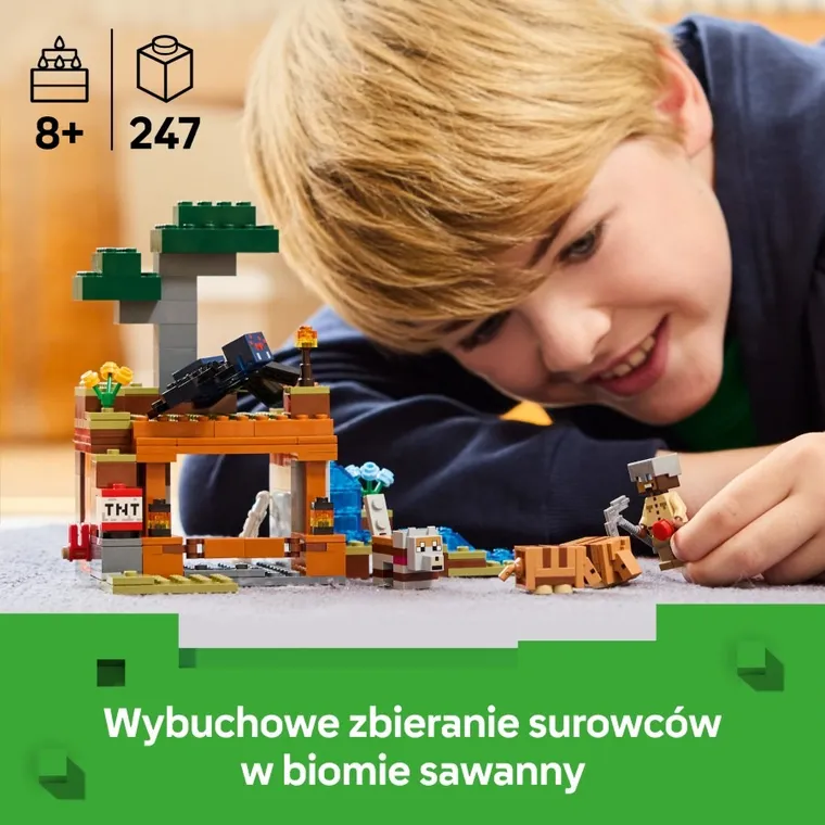 LEGO Minecraft, Wyprawa do pancernikowej kopalni, 21269