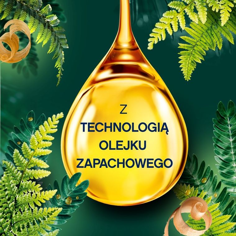 Lenor, Cedar Wood & Pine Tree, płyn do płukania tkanin, 925 ml