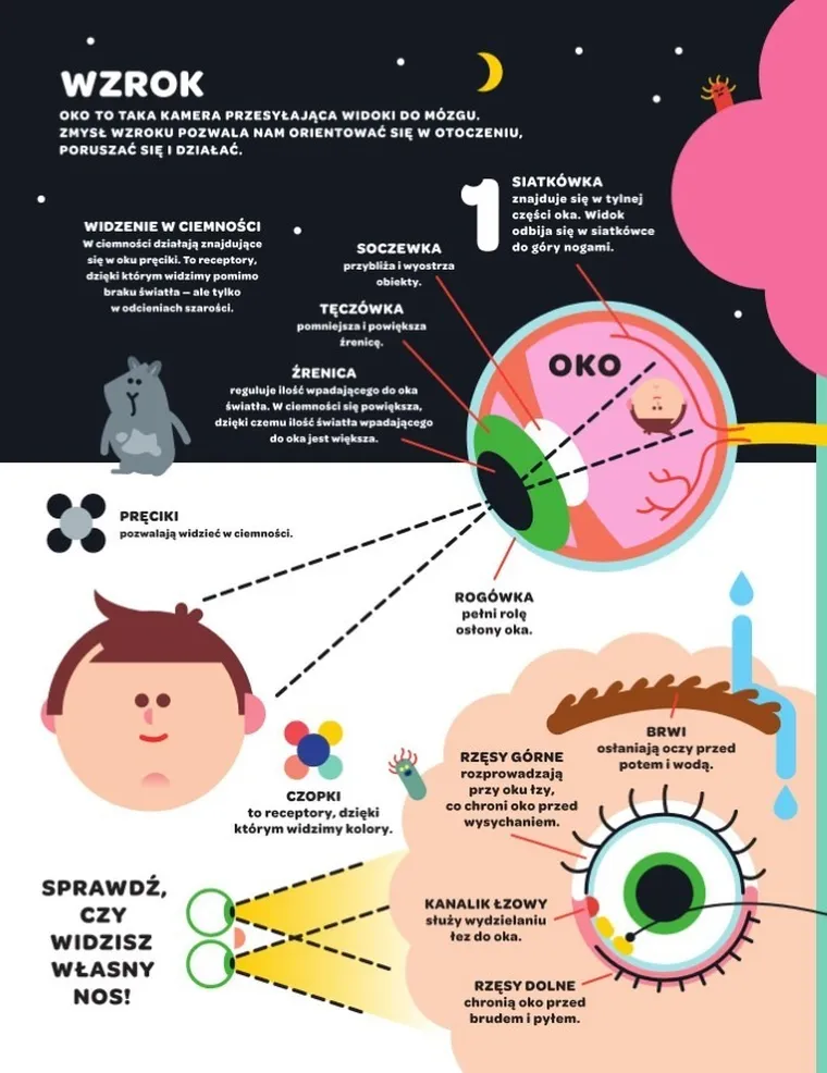 Leon i Lena poznają ciało człowieka