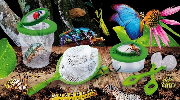 Lisciani, I'm a Genius, Nauka w domu - Owady