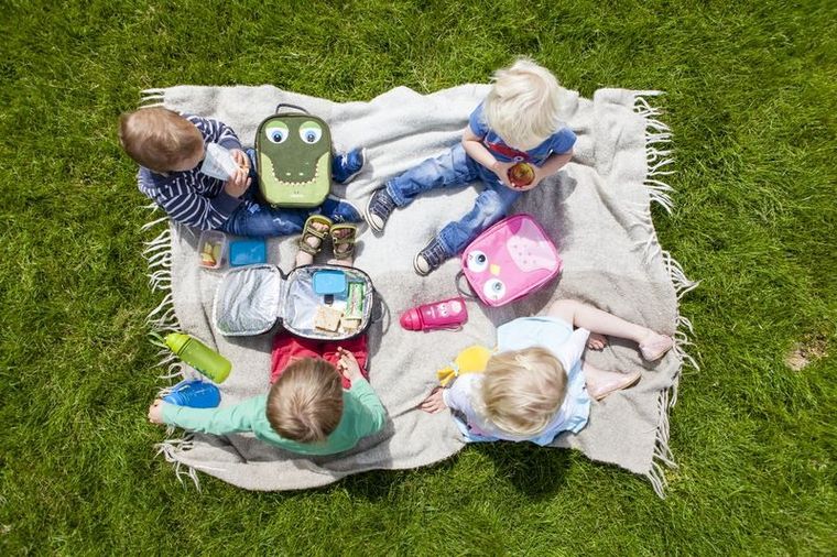 LittleLife, Bidon, Safari, żółty