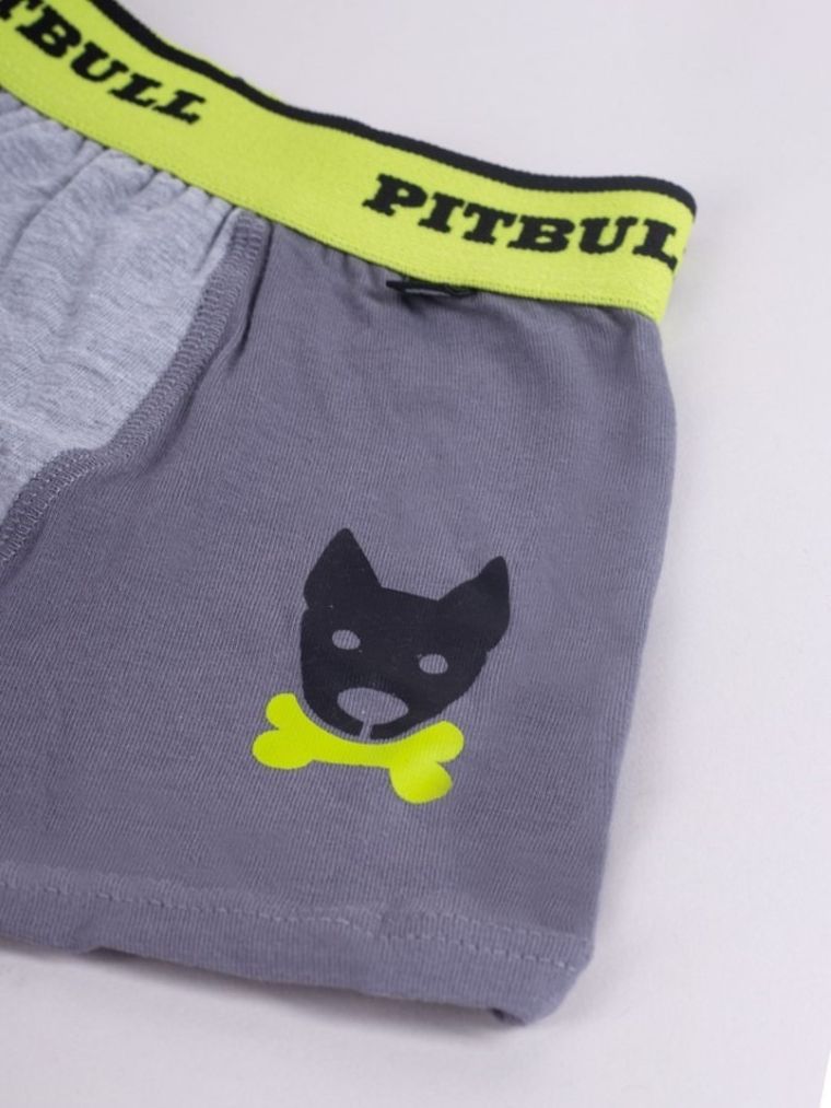 Majtki bokserki chłopięce, szare, zestaw, 2 szt., Yoclub