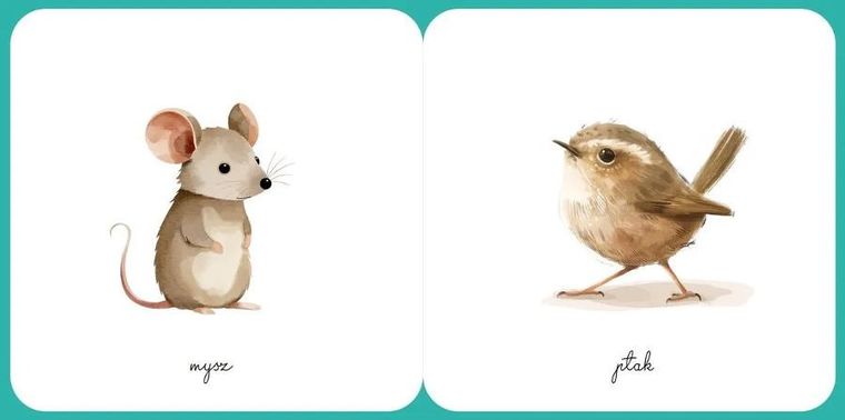 Małe stworzonka. Ładne obrazki. Świat wokół mnie