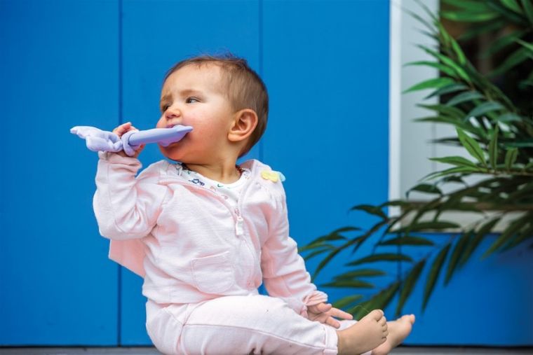 Mary Meyer, Mała Sowa, gryzak