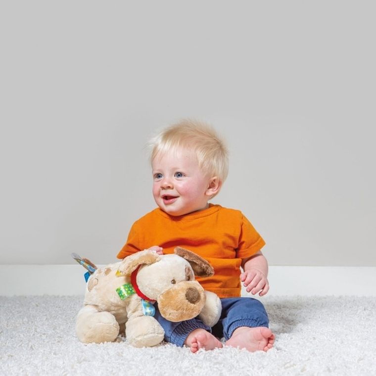 Mary Meyer, Taggies, Piesek, maskotka z metkami