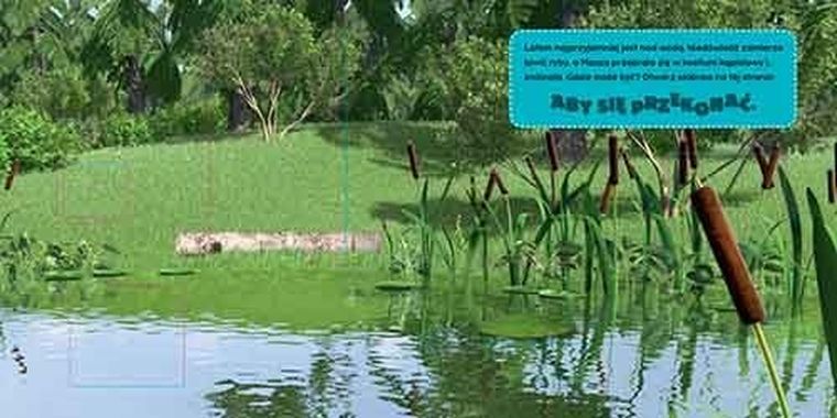 Masza i Niedźwiedź. 4 pory roku. Książka z otwieranymi okienkami