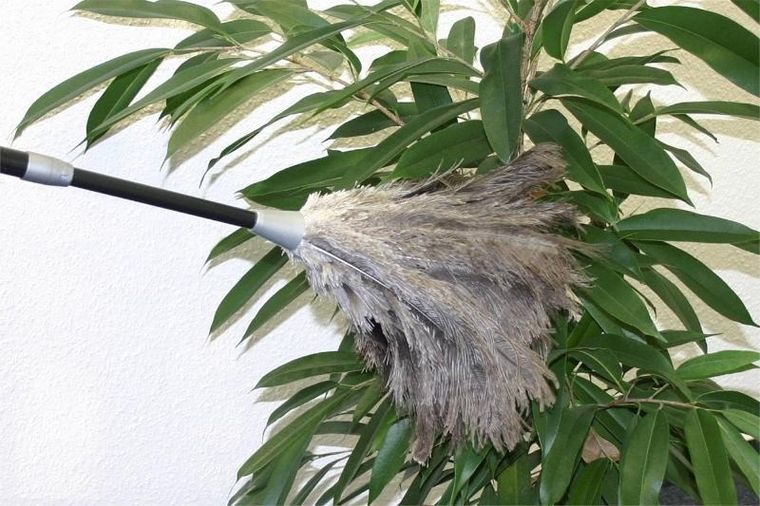 Maximex, miotełka do usuwania kurzu teleskopowa, strusie pióra