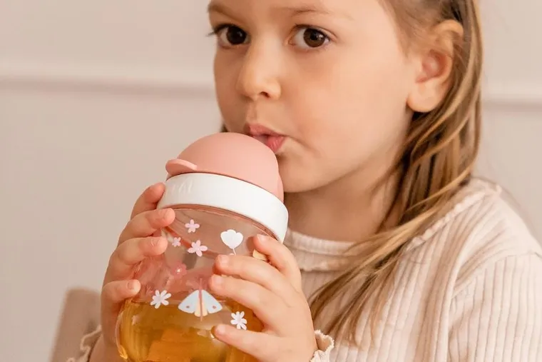 Mepal, Mio, Fairy Garden, kubek dziecięcy ze słomką, 9m+, 300 ml