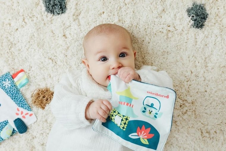 Miniland, Feel To Learn, szeleszcząca czerwona panda, zabawka sensoryczna