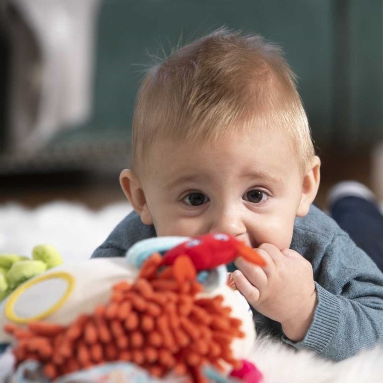 Miniland, Rafa koralowa, zabawka sensoryczna