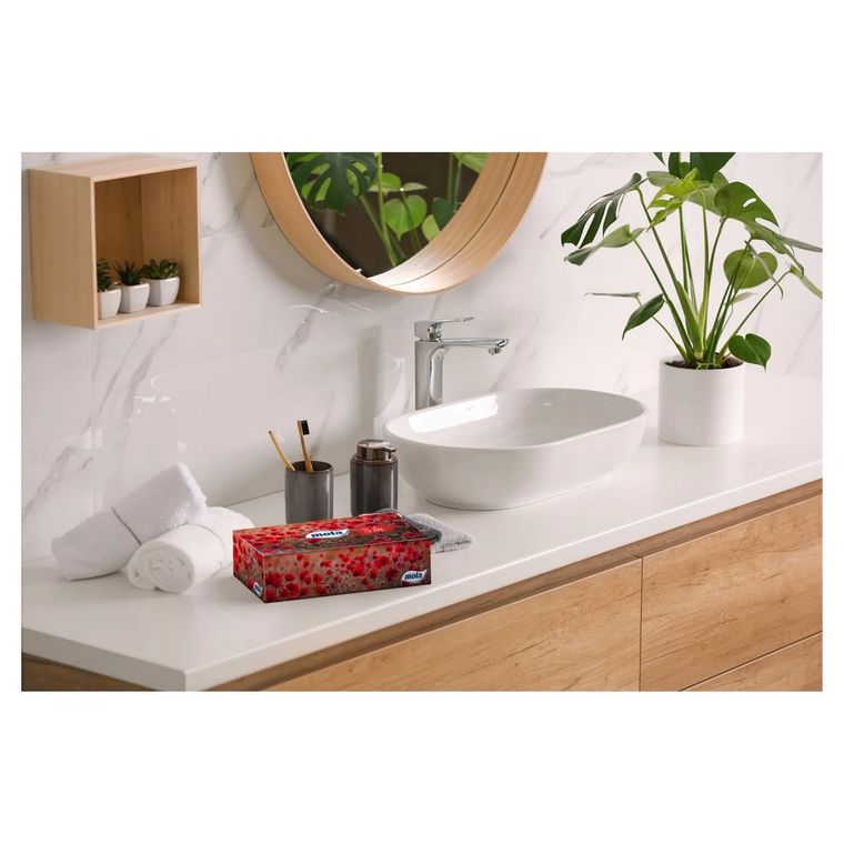 Mola, chusteczki higieniczne, 2-warstwowe, 120 szt.