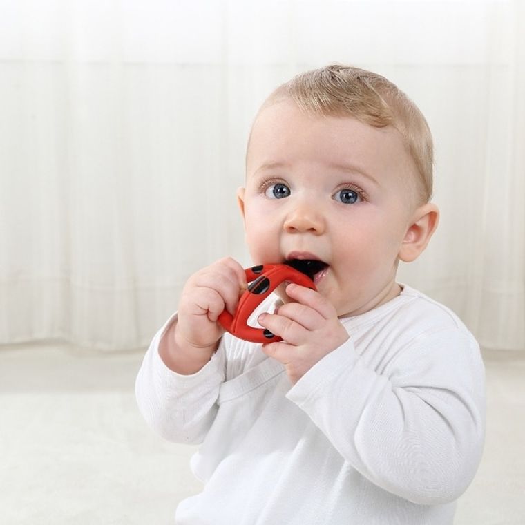 Mombella, Biedronka Dori, szczoteczka treningowa, 3-8 miesięcy