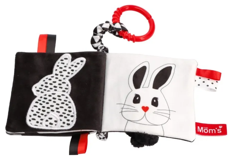 Mom's Care, Kto to? Co to? książeczka edukacyjna