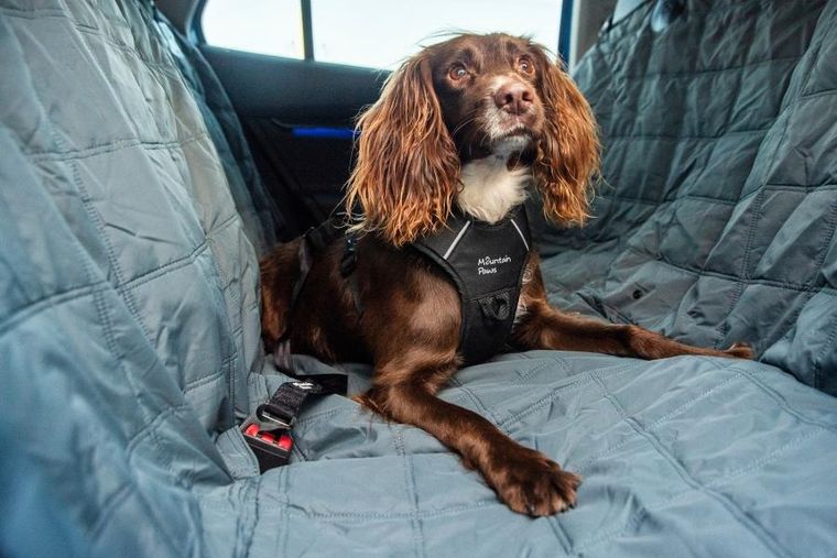Mountain Paws, pas bezpieczeństwa do samochodu dla psa