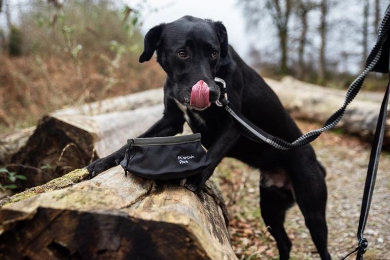 Mountain Paws, składana, turystyczna miska do karmienia psa