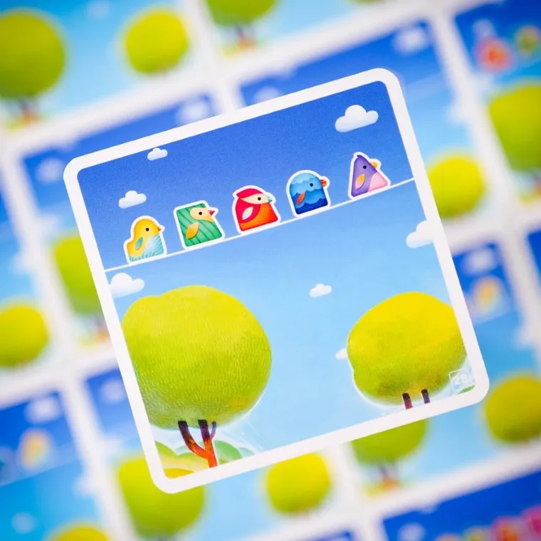 Muduko, Ptaki, 60 zagadek, gra logiczna