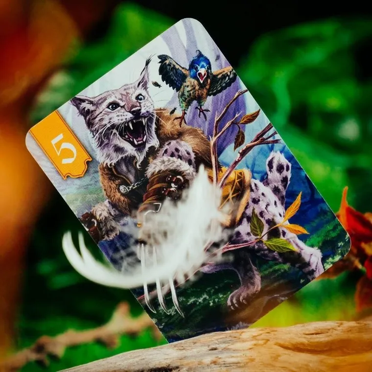 Muduko, Spór o Bór, strategiczna gra karciana dla 2 osób