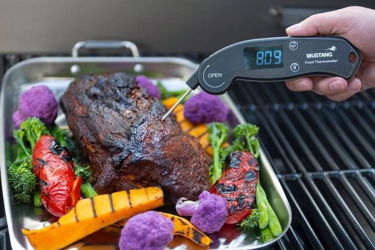 Mustang, cyfrowy termometr do mięsa