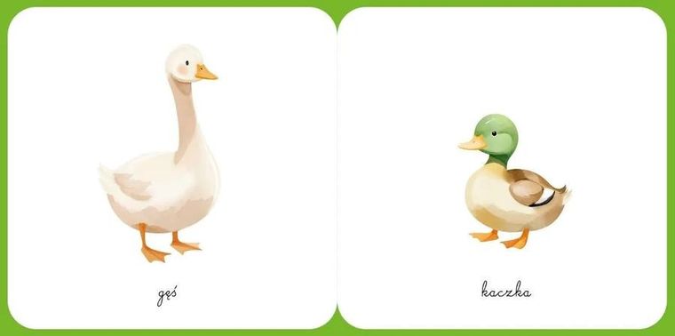 Na wsi. Ładne obrazki. Świat wokół mnie