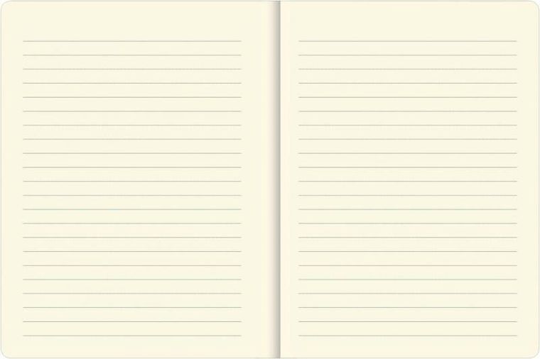 Narcissus, notes, 96 kartek, kwiaty o północy, 1 szt.