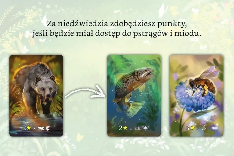 Nasza Księgarnia, Ekosystem, gra familijna