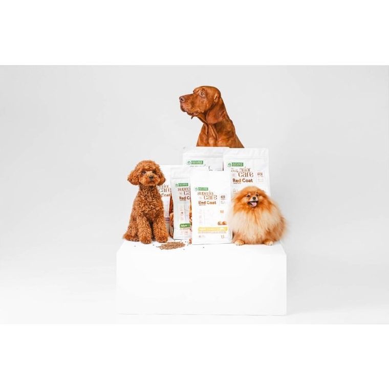 Nature's Protection, sucha karma dla psów małych ras, łosoś, kryl, 10 kg