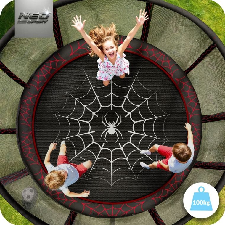 Neo-Sport, trampolina ogrodowa z siatką zewnętrzną i drabinką, 8ft/252 cm