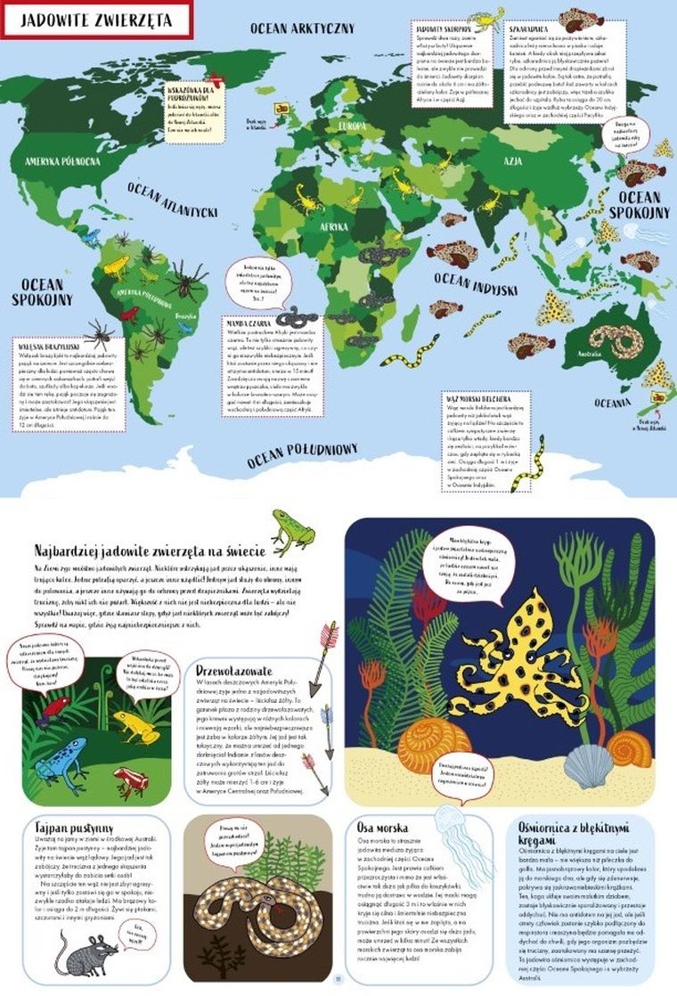 Niezwykłe mapy. Dla miłośników przygód i snów