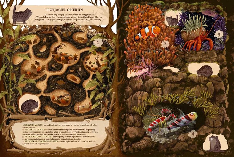 Niezwykłe przyjaźnie. W świecie roślin i zwierząt