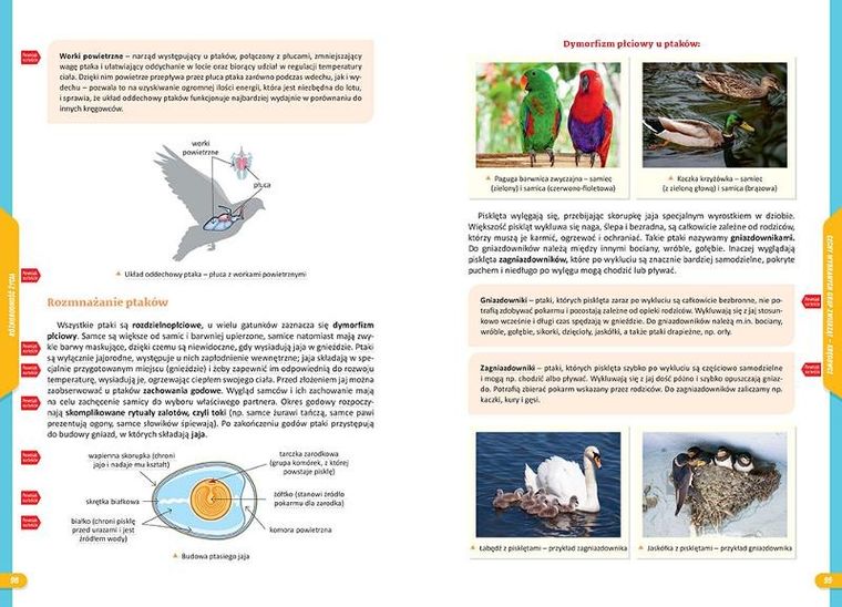 Nowe Repetytorium SP. Biologia