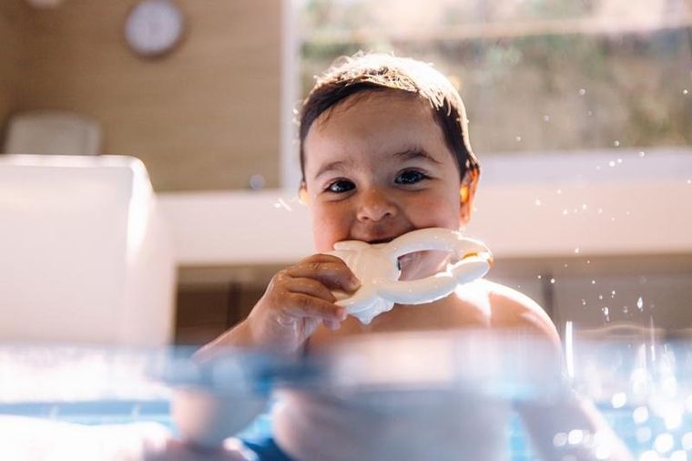 Oli & Carol x BigStuffed, gryzak i zabawka do kąpieli, Krab Sharon