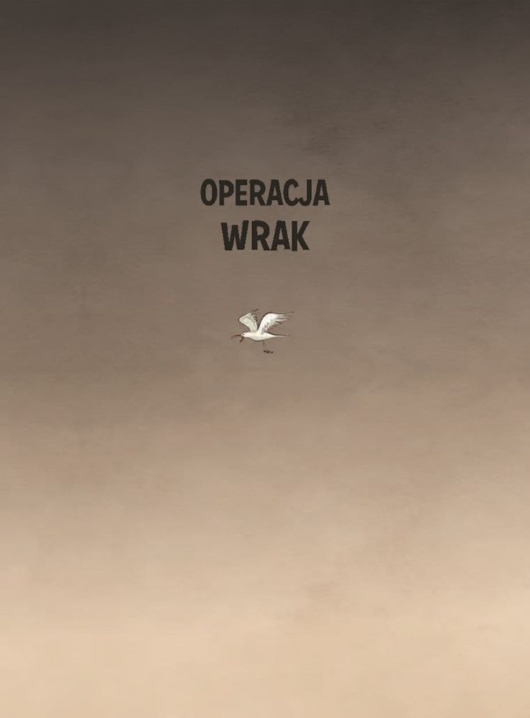 Operacja Wrak. Biuro detektywistyczne nr 2