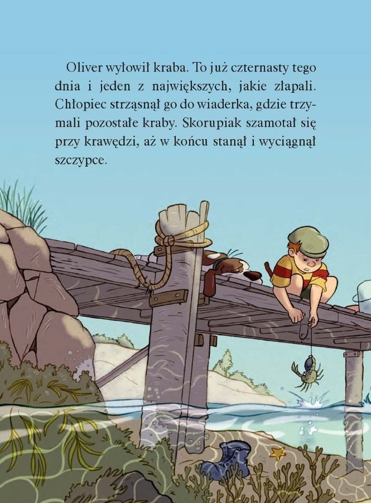 Operacja Wyspa. Biuro detektywistyczne nr 2