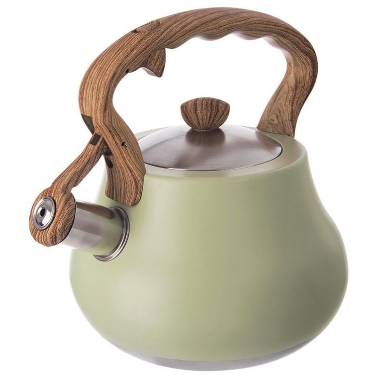 Orion, Greenish, czajnik z gwizdkiem, stalowy, 3l