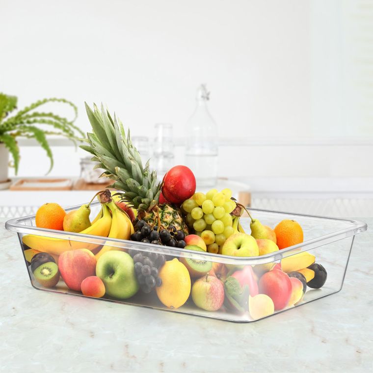 Orion, pojemnik, organizer do lodówki, prostokątny, 25-17 cm