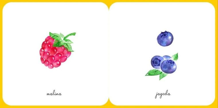 Owoce. Ładne obrazki. Świat wokół mnie