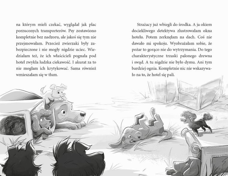 PAKA z domku na drzewie. Zagadka pod psem