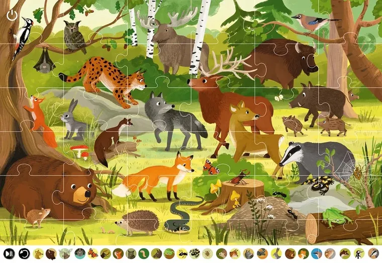 Pakiet Kakadu: Zwierzęta lasu + Puzzle interaktywne