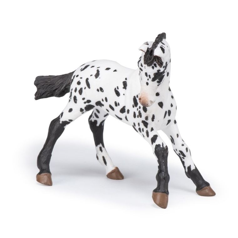 Papo, Czarne źrebię rasy appaloosa, figurka kolekcjonerska