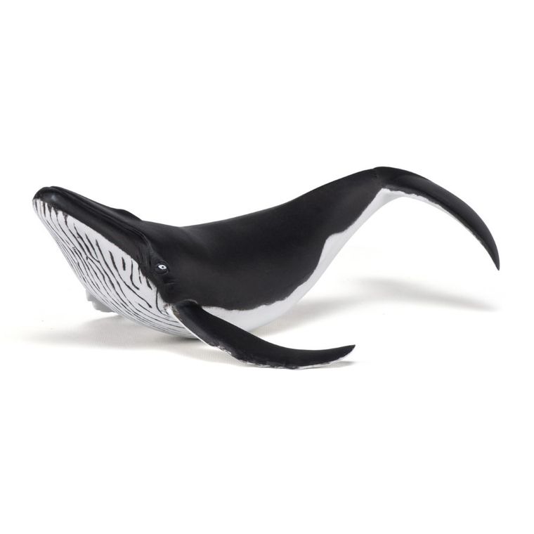 Papo, Humbak młody, figurka