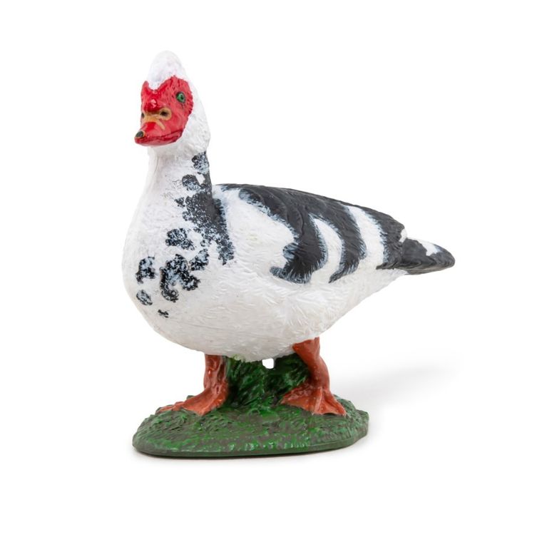 Papo, Kaczka Piżmówka, figurka