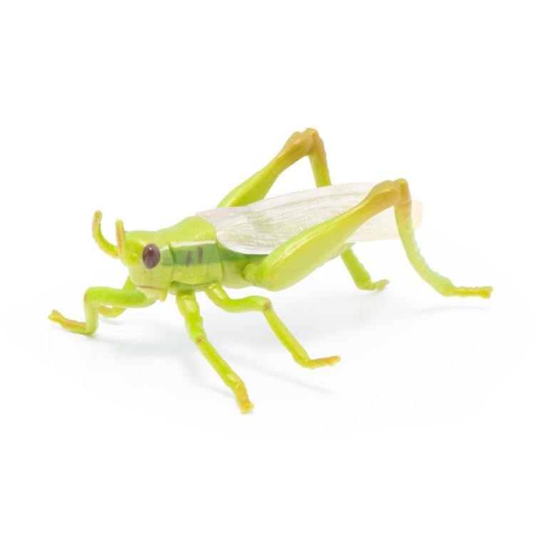 Papo, Konik polny, figurka