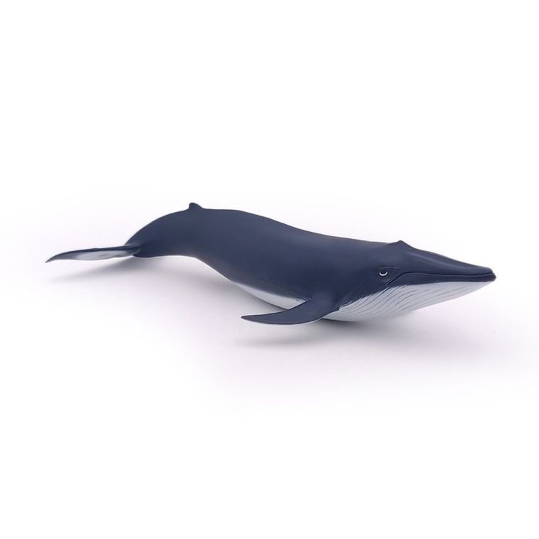 Papo, Płetwal błękitny młody, figurka