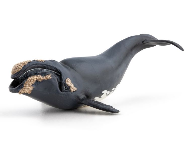 Papo, Waleń, figurka