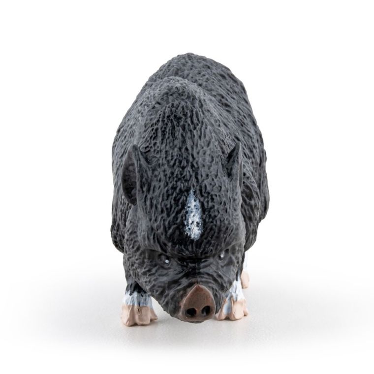 Papo, Wietnamska świnia zwisłobrzucha, figurka