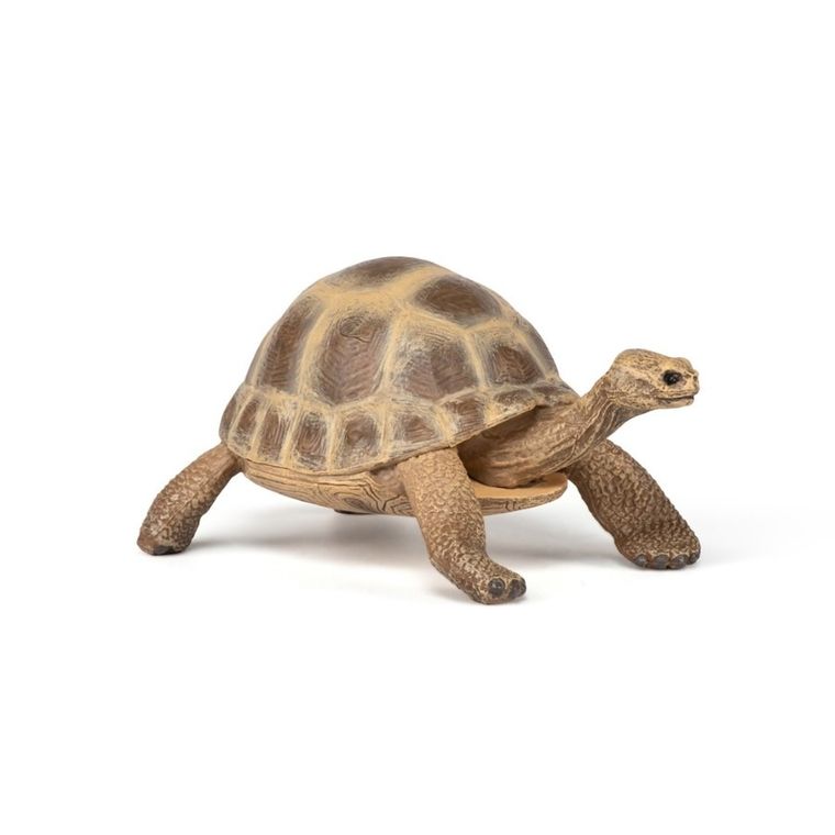 Papo, Żółw Hermana, figurka