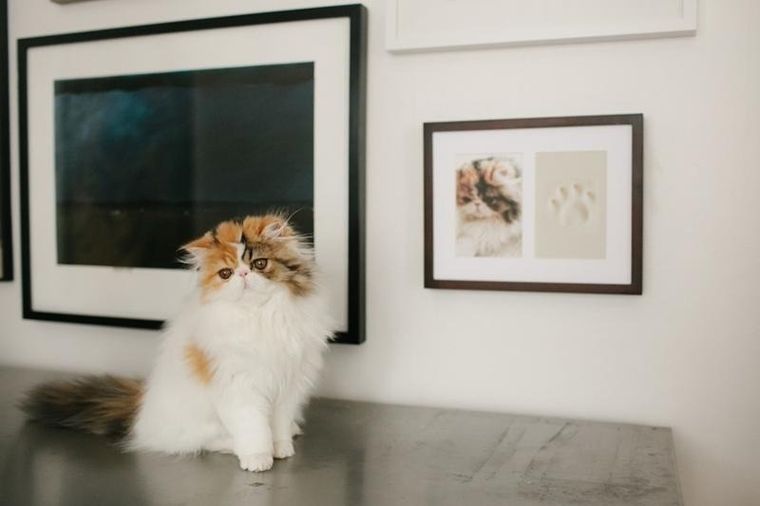 Pearhead, ramka z odciskiem łapy pupila, wisząca