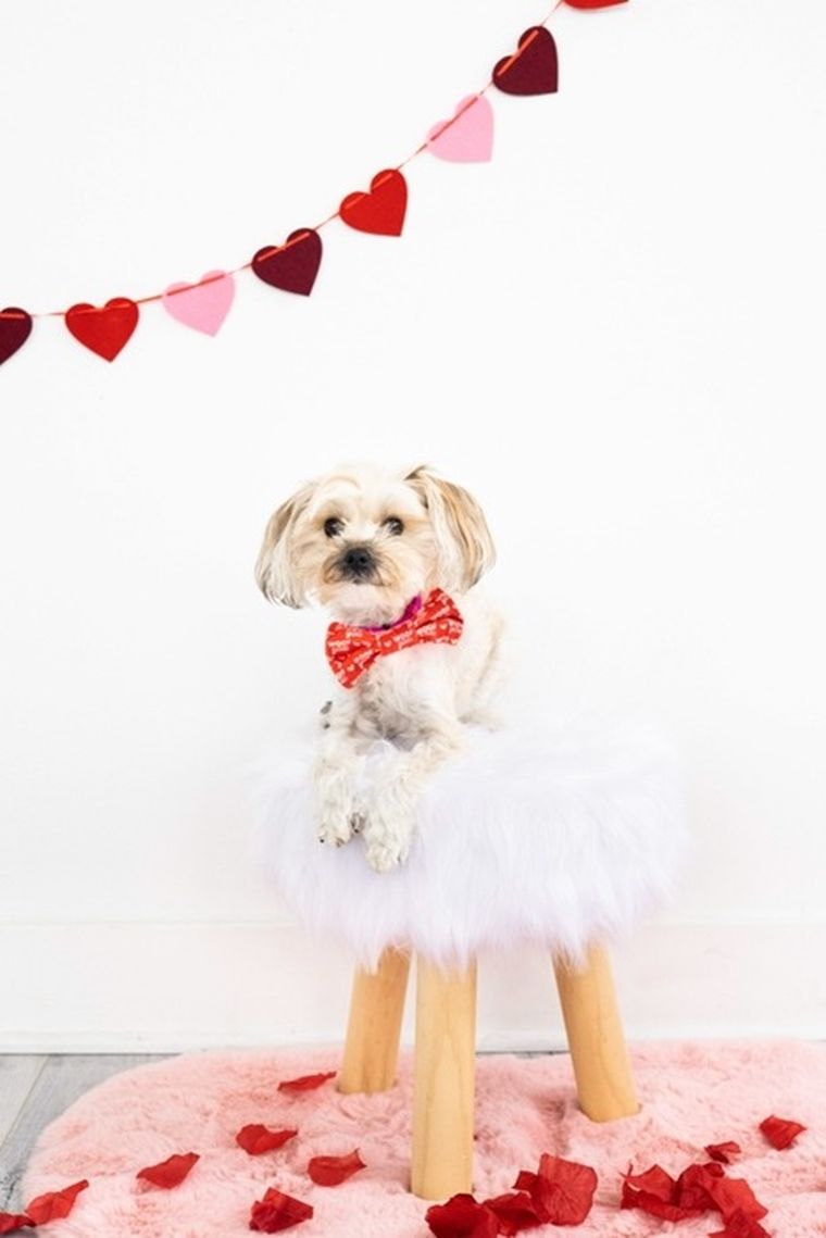 Pearhead, Woof You, muszka dla psa, rozmiar XS/S